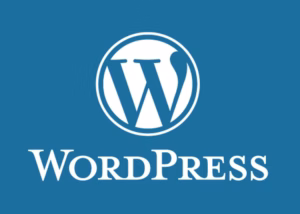 Mengaktifkan Auto-Update WordPress Meski Situs Dikelola dengan Git
