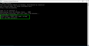 CDN Setup Guide: Cara Mengatur Content Delivery Network