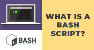 Website Maintenance Checklist